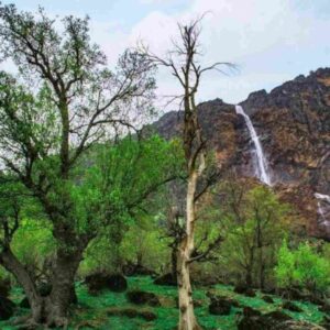 دانلود آهنگ دوباره نیستی الکل رفیقم شده دانلود آهنگ دوباره نیستی الکل رفیقم شده